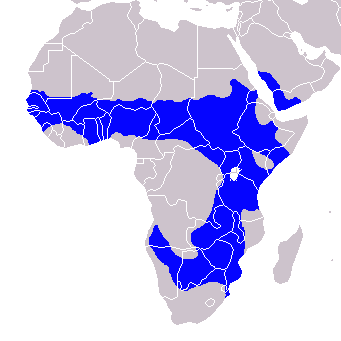 File:Tockus nasutus - Distribution.png
