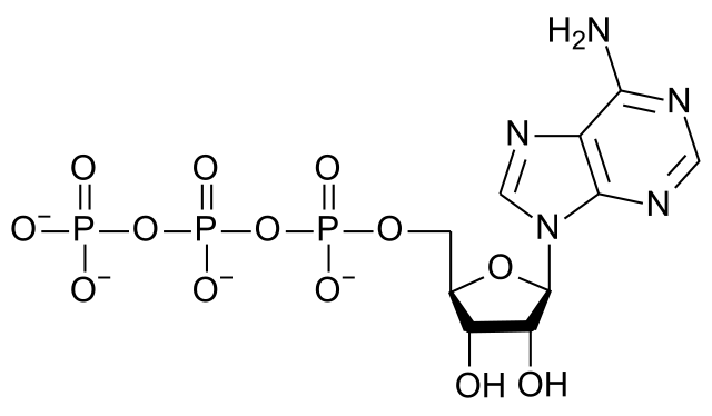File:ATP structure.svg