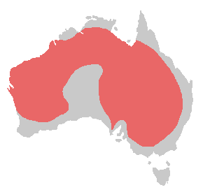 File:Bird range cockatiel.png