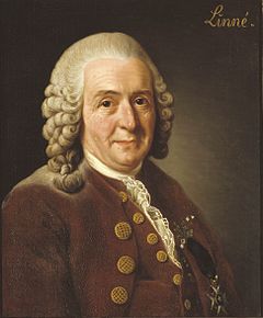Portrait of Linnaeus on a brown background with the word