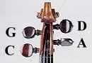File:Viola peg strings.jpg