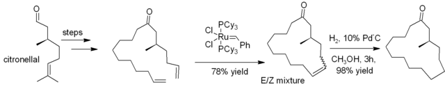File:MusconeViaRCM.png