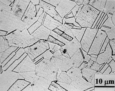 File:Unsensitised structure of type 304 stainless steel.jpg