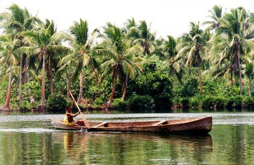 File:Dugout canoe Rennell.jpg