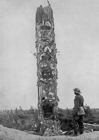 File:Disguisetactics.jpg