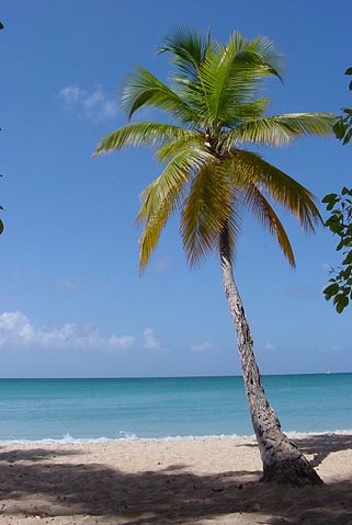 File:1859-Martinique.web.jpg