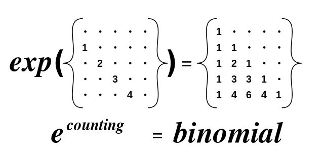 File:Exp binomial grey.svg