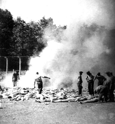 File:WieselAuschwitzpits.jpg