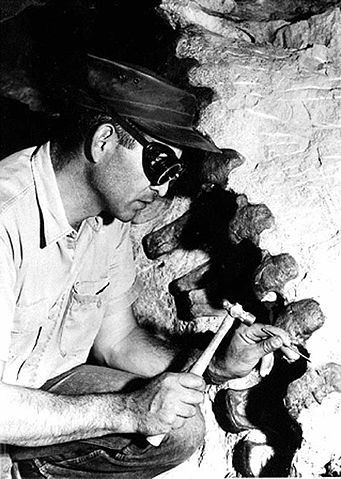File:Paleontologist chipping.jpg