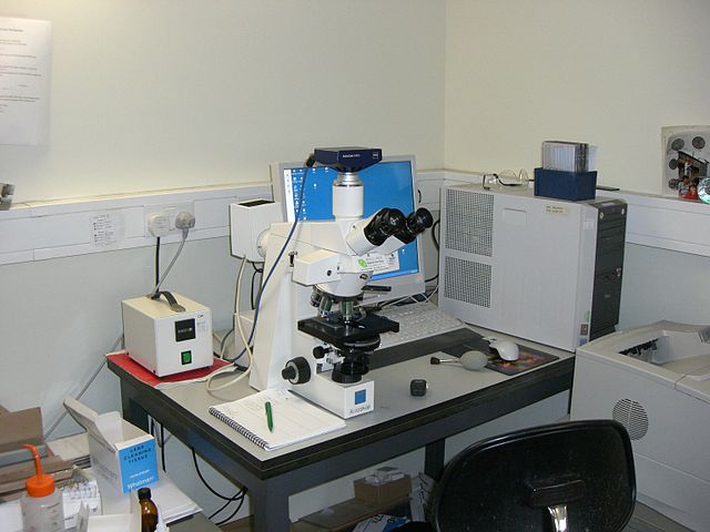 File:Microscope And Digital Camera.JPG