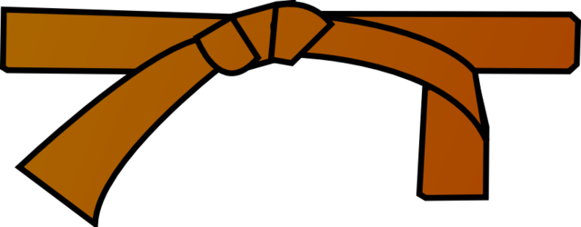 File:Ceinture marron.png