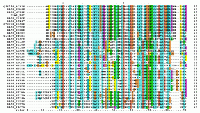File:RPLP0 90 ClustalW aln.gif