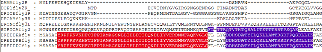 File:Caspase-motif-alignment.png