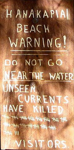File:Hanakapiai Beach Warning Sign Only.jpg
