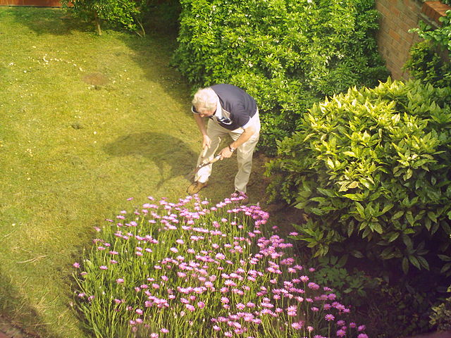 File:Gardening.jpg