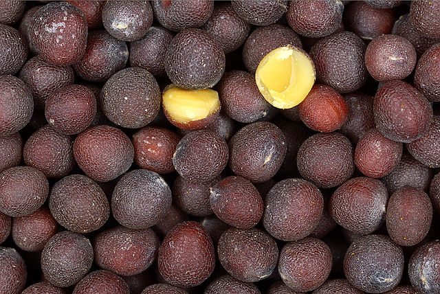 File:Black-mustard-seeds.jpg