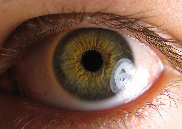 File:030608 Pupil.jpg