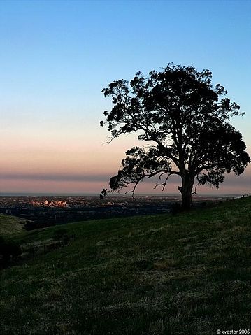 File:An adelaide sunrise.jpg
