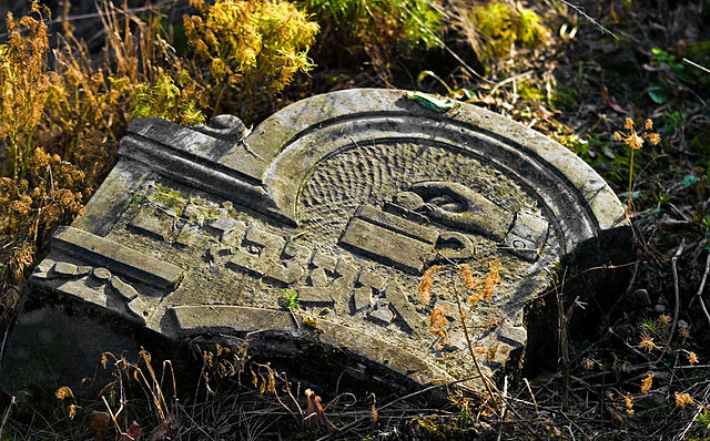 File:Jewish cemetery Otwock Karczew Anielin IMGP6721.jpg