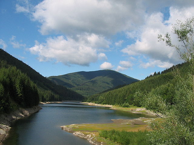 File:Smrk a rameno &Scaron;ance 1.jpg