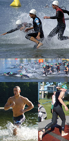 File:Triathlon swim montage.jpg