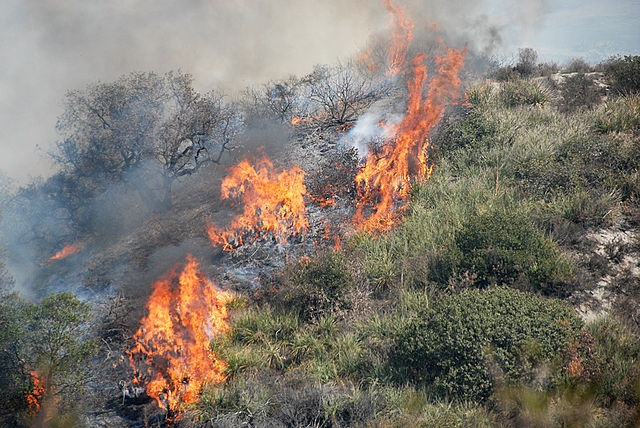 File:Fires cross a hill in SoCal October 2007.jpg