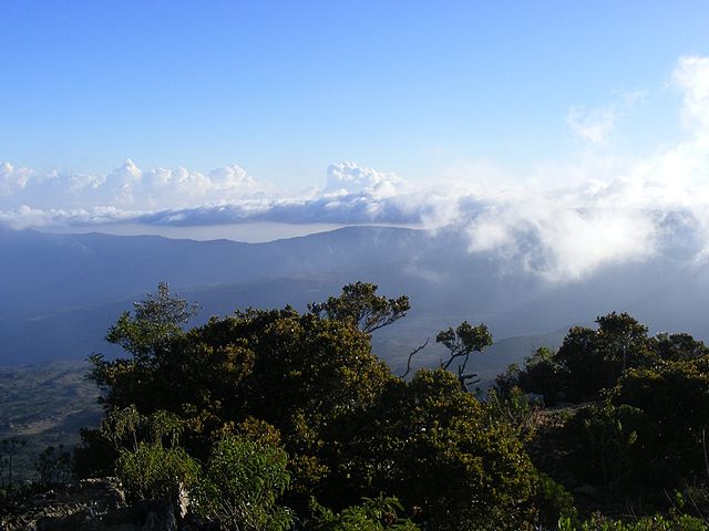 File:Almadow Overview.JPG