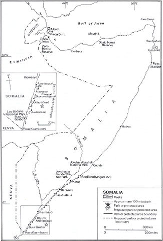 File:Somcoralreef.jpg