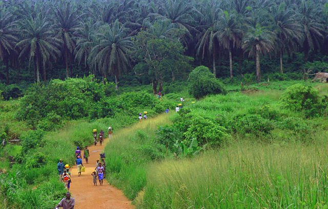 File:Kenema-Kailahun Road.jpg