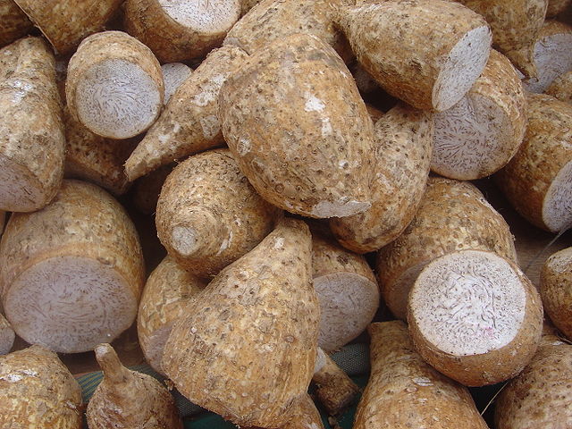File:Colocasia esculenta dsc07801.jpg