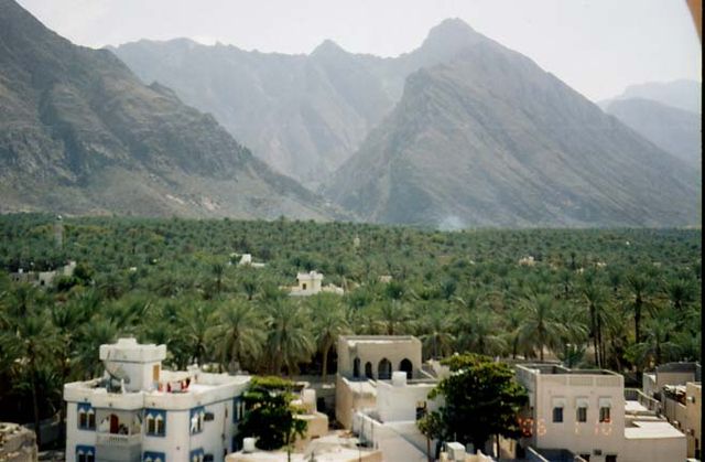 File:Nakhalfarms.jpg