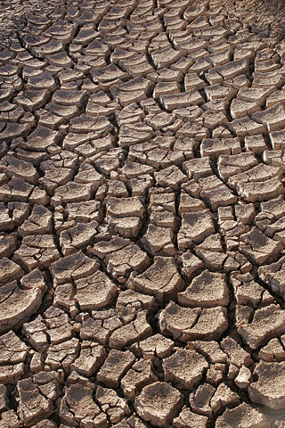 File:Drought.jpg