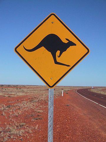 File:Kangaroo Sign at Stuart Highway.jpg