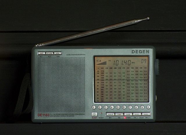 File:Degen de1103.jpg
