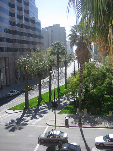 File:San Jose Palm Trees 02.jpg