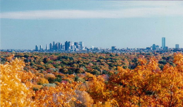 File:USA Massachusetts Boston Foliage.jpg