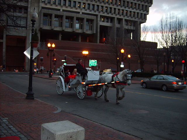 File:Bostonhorseandcart.JPG