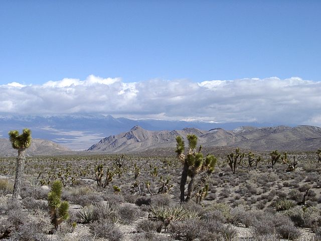 File:Lasvegasclimate.jpg