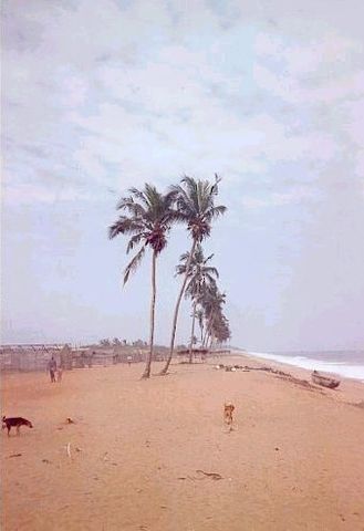 File:Abidjanvridi.jpg