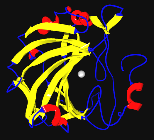 File:Carbonic anhydrase.png