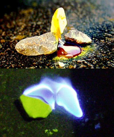 File:Burning-sulfur.png