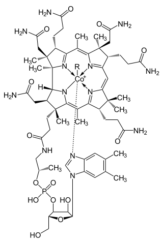 File:Cobalamin.svg