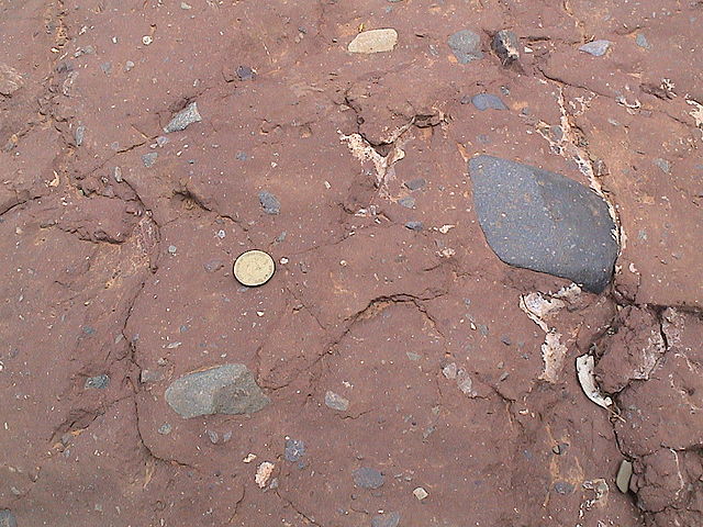 File:Elatina Fm diamictite.JPG