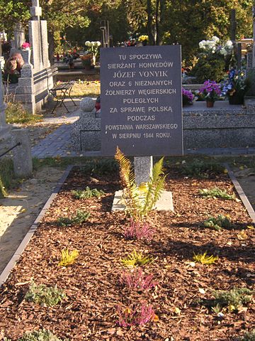 File:Warsaw Uprising Hungarians.JPG