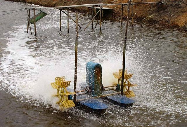 File:Paddlewheel aerator.jpg