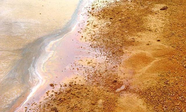 File:Shrimp pond bottom pyrite.jpg