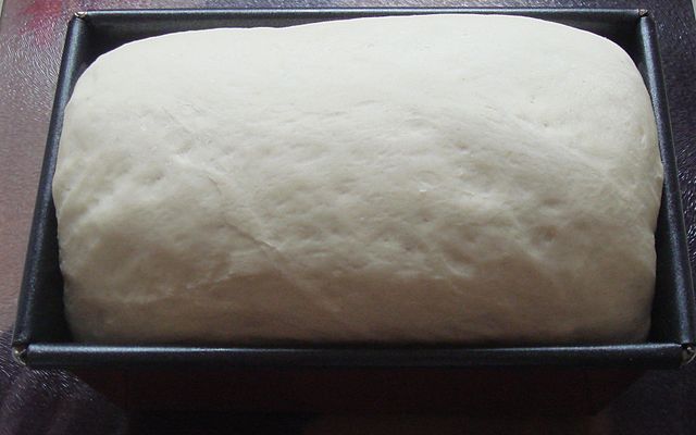 File:Risen bread dough in tin.jpg