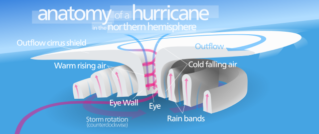 File:Hurricane-en.svg