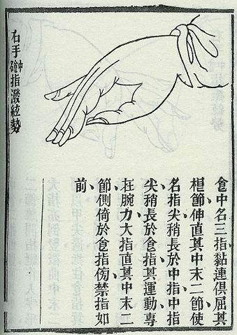 File:Qintech Bo.jpg