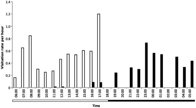 File:Mammal visitation rates to Nepenthes rajah pitchers.png